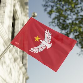 Freestar Collective Flag - Image 6