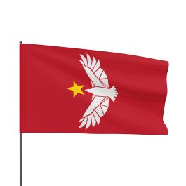 Freestar Collective Flag - Image 4