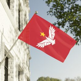 Freestar Collective Flag - Image 3