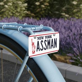 ASSMAN Mini License Plate - Image 1