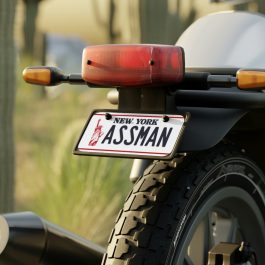 ASSMAN Mini License Plate - Image 4