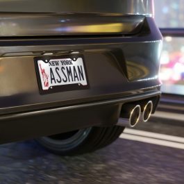 ASSMAN Vanity Plate - Image 3