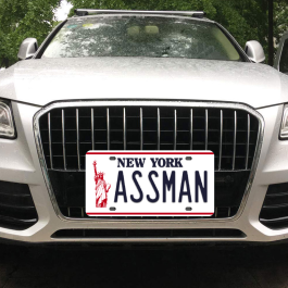 ASSMAN License Plate - Image 1
