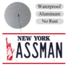 ASSMAN License Plate