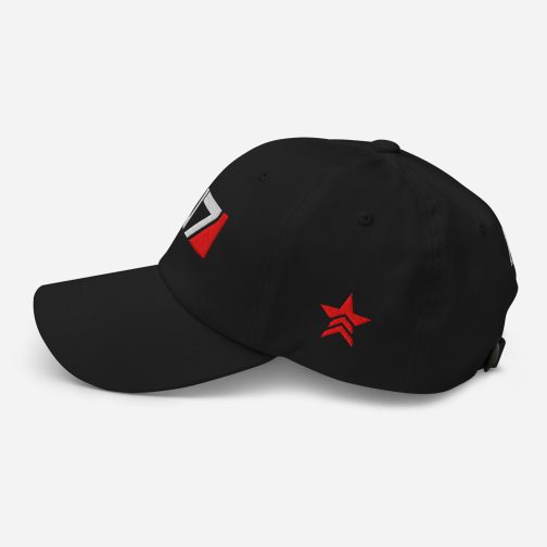 N7 HAT - N7 Dad Hat