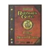 Baldur's Gate Tales of the Sword Coast framed canvas shown front view