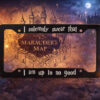 Harry Potter License Plate Frame I Solemnly Swear License Plate Frame