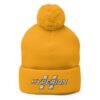 il_fullxfull.2610689996_hox7 Hyperion Pom Pom Beanie