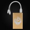 Brotherhood of Steel Power Bank