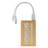 rp4khw4lh2kytn0p3xe7ks1u Hawkins Power and Light Power Bank