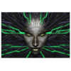 SHODAN Canvas Print