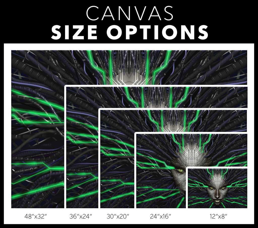 SHODAN Canvas Print size chart